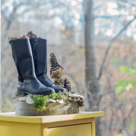 Negy Evszak Vendeghaz * Noszvaj