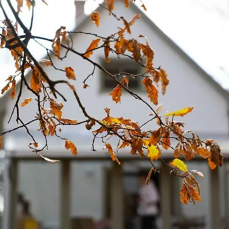 Negy Evszak Vendeghaz